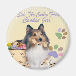 Sheltie Stole the cookie Magnets Magnet