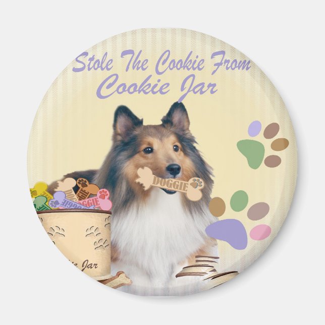 Sheltie Stole the cookie Magnets Magnet (Framsidan)