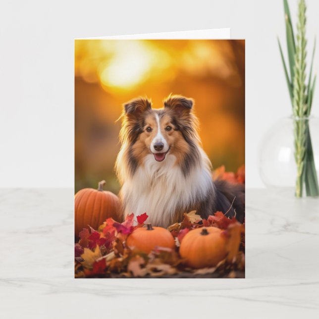 Sheltie Thanksgiving Helgkort (Framsida)