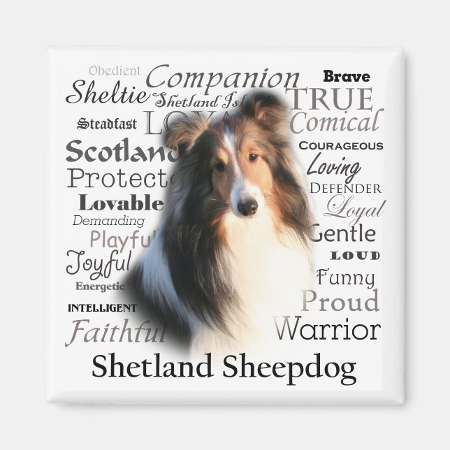 Sheltie Traits Magnet (Framsidan)