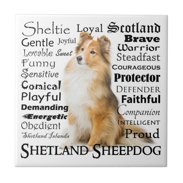 Sheltie Traits Tile Kakelplatta (Framsidan)