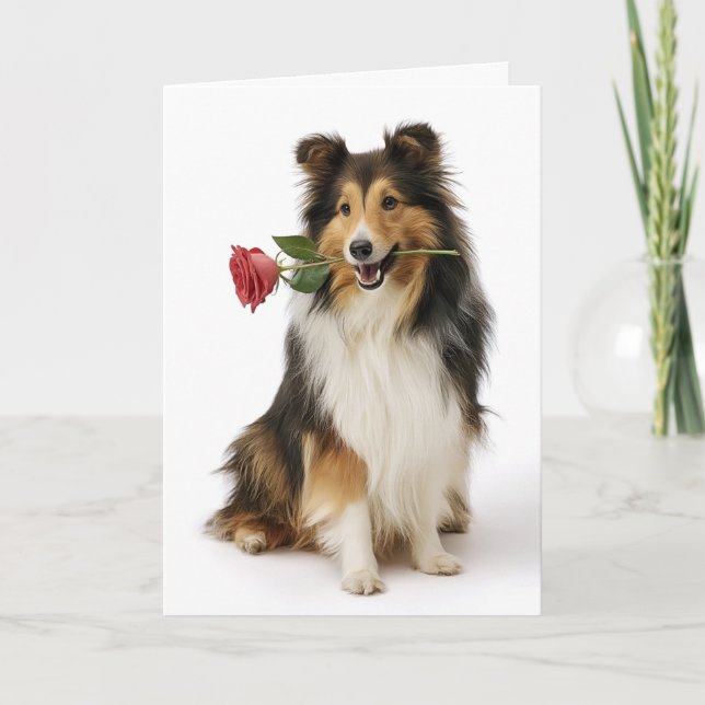 Sheltie Valentine – Ömt hjärta, sann kärlek Kort (Framsida)