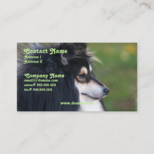 Sheltie visitkort