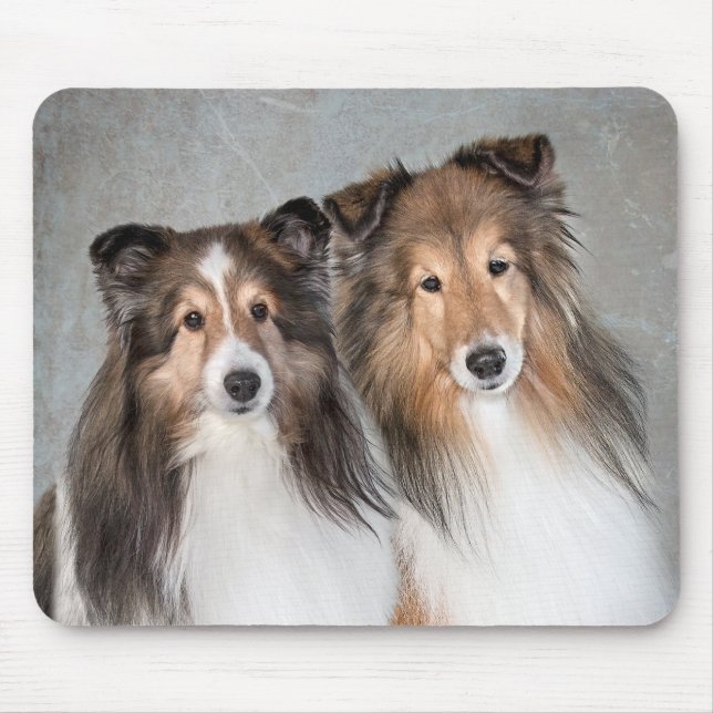 Shelties Musmatta (Framsidan)