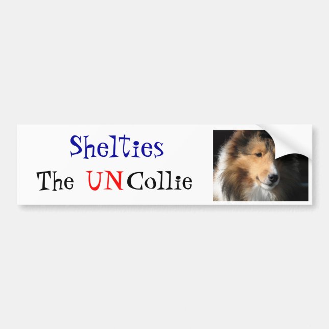 Shelties UN-Colliebildekalet Bildekal (Framsidan)