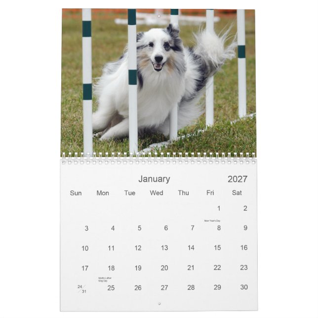 Shelties & vävAgilitykalender Kalender (Jan 2027)