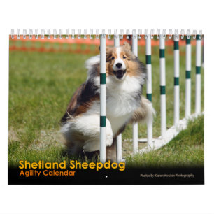 Shelties & vävAgilitykalender Kalender