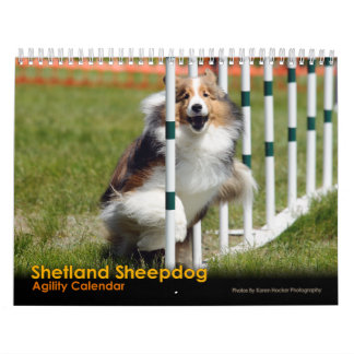 Shelties & vävAgilitykalender Kalender