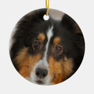 Shelty Julgransprydnad Keramik