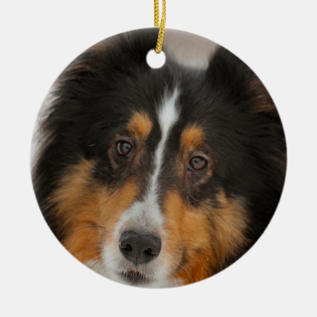 Shelty Julgransprydnad Keramik (Framsidan)