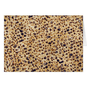 Shemura Matzah Gram Hälsningskort