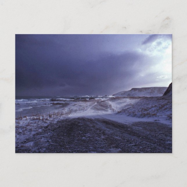 Shemya Island North Beach Vykort (Framsida)