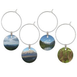 Shenandoah, Grand Teton, Glacier och Muir Skogen Berlock Vinglas