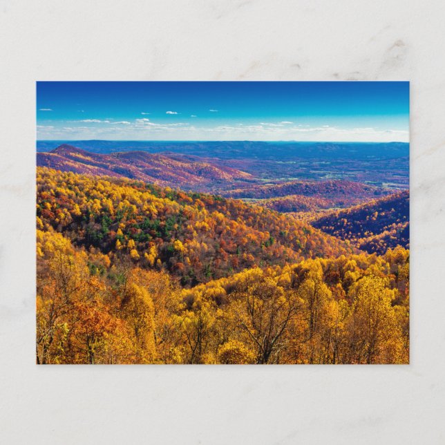 Shenandoah National Park in Fall, Virginia Vykort (Framsida)