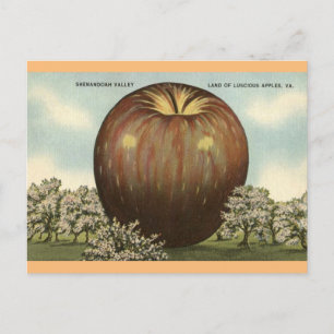 Shenandoah Valley, Virginia Giant Apple-vykort Vykort