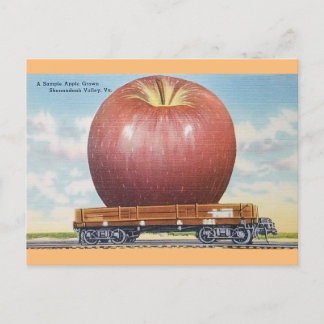 Shenandoah Valley, Virginia Giant Apple-vykort Vykort