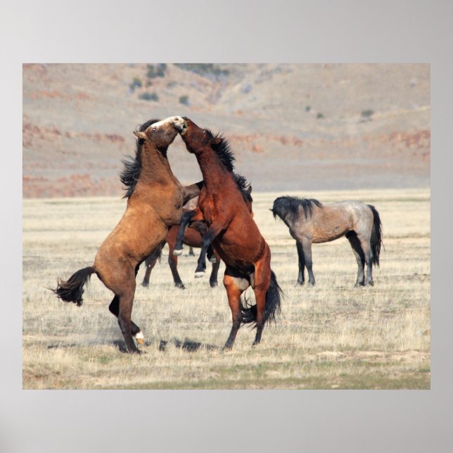 Shenanigans Poster (Framsidan)