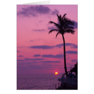 Shephards Sunset, Clearwater, Fl. Hälsningskort