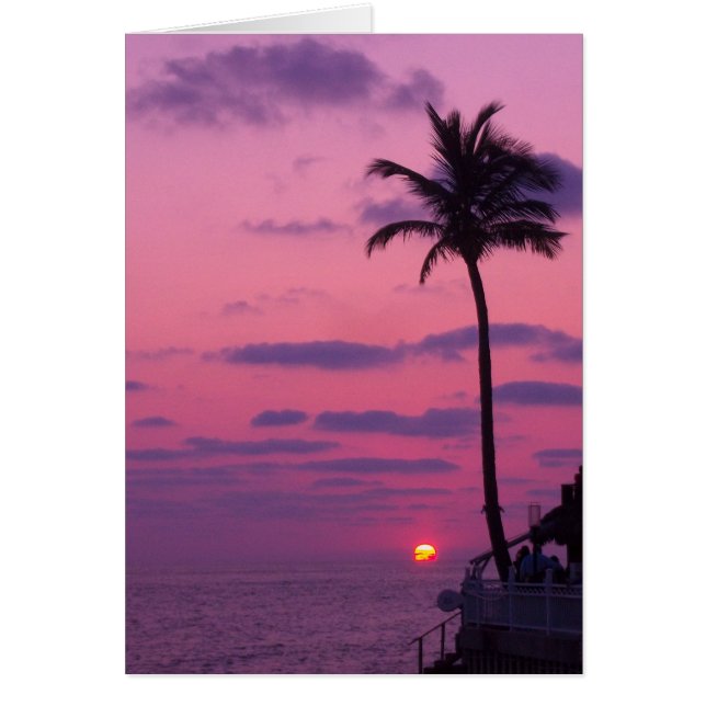 Shephards Sunset, Clearwater, Fl. Hälsningskort (Framsidan)