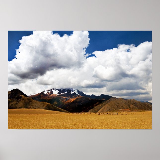 Shepherd and Hans Flock in Peruvian Andes Poster (Framsidan)