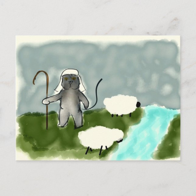 Shepherd Cat Postcard Vykort (Framsida)