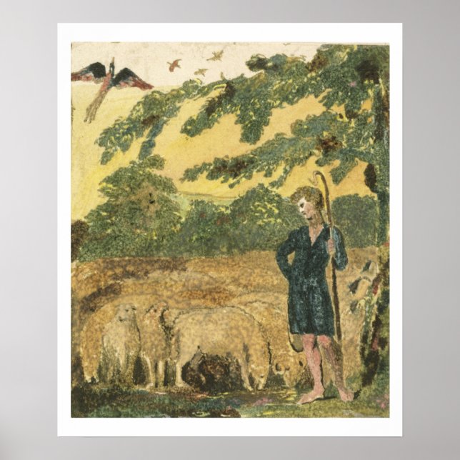 Shepherd, från "Sång of Oskuld", 1789 (kol Poster (Framsidan)