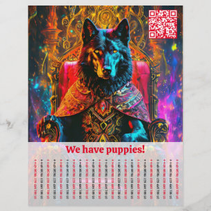 Shepherd Hund Flyer