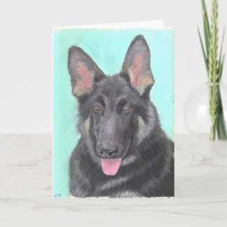 Shepherd Kort