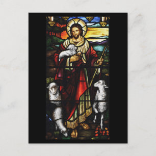 Shepherd och hans får StJohnsAshfiel Vykort
