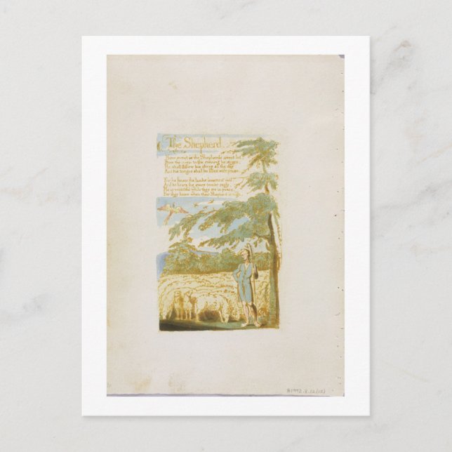 "Shepherd", tallrik 15 från "Sång i Oskuld" Vykort (Framsida)