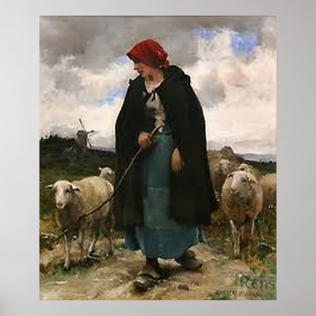 "Shepherdes"~Gräns Collie Poster (Framsidan)