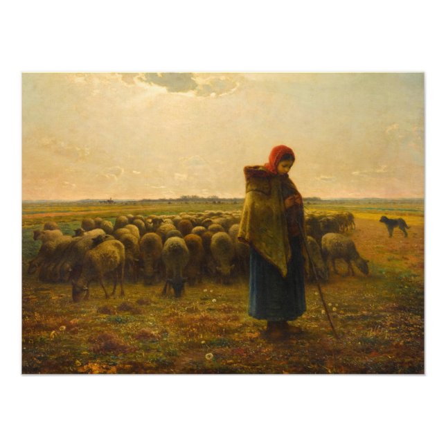 Shepherdes med sin Flock av Jean-Francois Millet Fototryck (Framsidan)