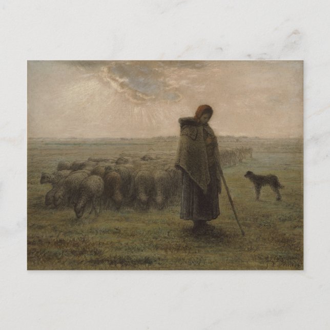 Shepherdess och henne flock | 1862-63 vykort (Framsida)