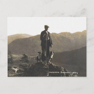 Shepherding Borrowdale 1904 Vykort