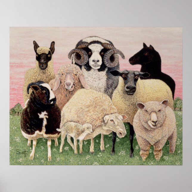 Shepherds Delight Poster (Framsidan)