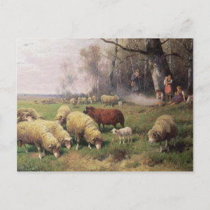 Shepherd's Family Vykort
