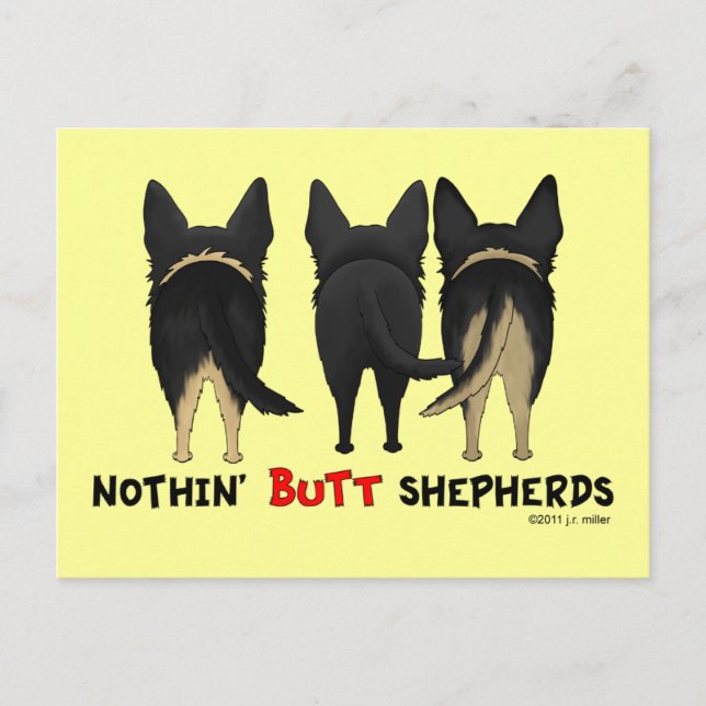 Shepherds med ingen knapp vykort (Framsida)
