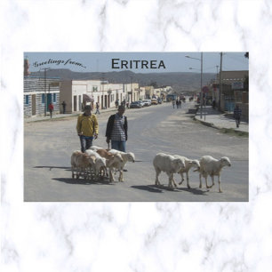 Shepherds och deras lås i Dekemhare Eritrea Vykort
