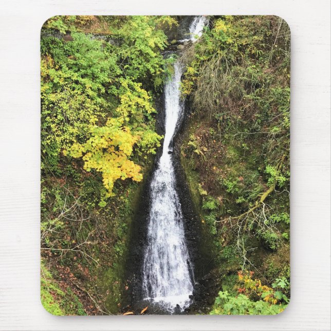 Shepperds Dell Falls, Columbia River Gorge, ELLER Musmatta (Framsidan)
