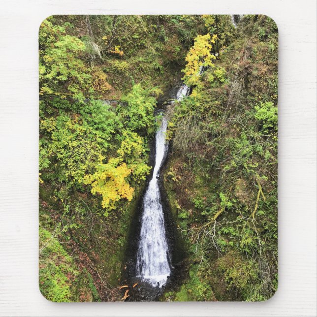 Shepperds Dell Falls, Columbia River Gorge, ELLER Musmatta (Framsidan)