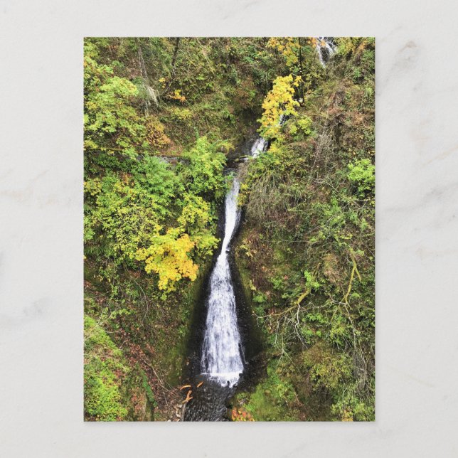 Shepperds Dell Falls, Columbia River Gorge, ELLER Vykort (Framsida)