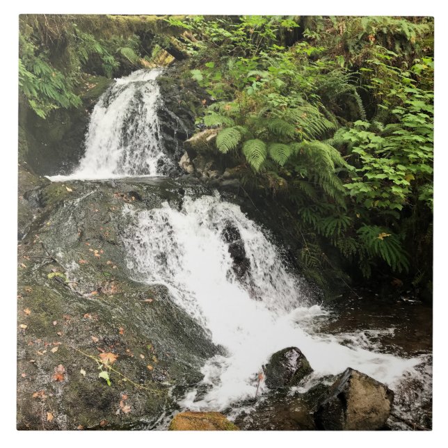 Shepperd's Dell Falls, OR Kakelplatta (Framsidan)