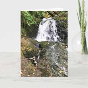 Shepperds Dell Falls, Oregon Kort