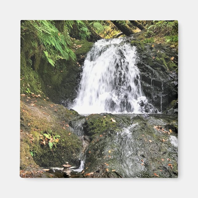 Shepperds Dell Falls, Oregon Magnet (Framsidan)