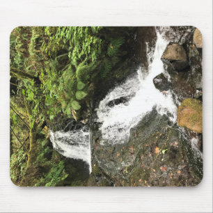 Shepperds Dell Falls, Oregon Musmatta