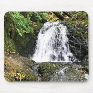 Shepperds Dell Falls, Oregon Musmatta