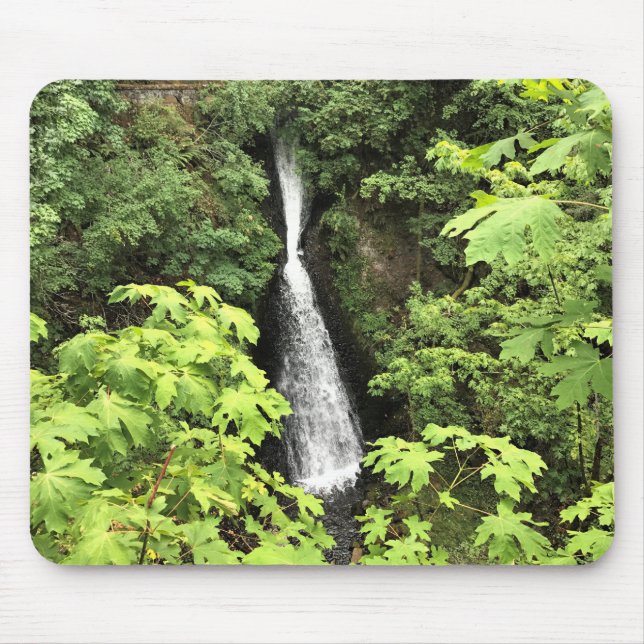 Shepperds Dell Falls, Oregon Musmatta (Framsidan)