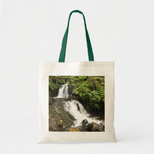 Shepperds Dell Falls, Oregon Tygkasse