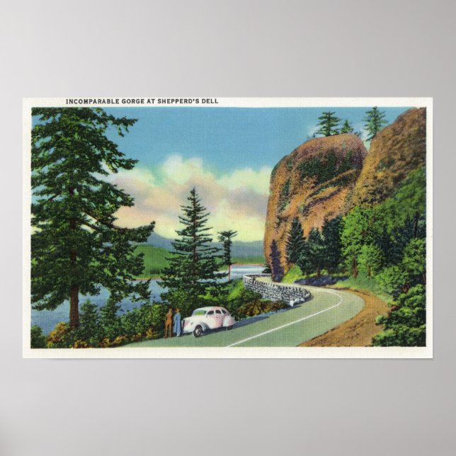 Shepperds Dell View of Injämförbar Gorge Poster (Framsidan)