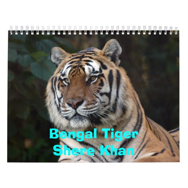 Shere-Khan kalender, Bengal TigerShere Khan Kalender (Omslag)
